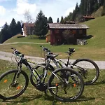 Apartment Alpenherz