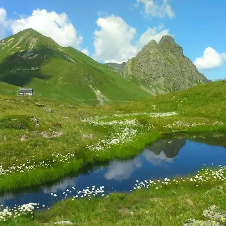 Alpenherz Апартаменты Санкт-Галленкирх