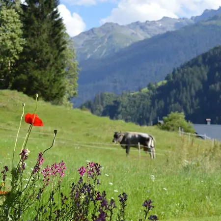 Апартаменты Alpenherz *